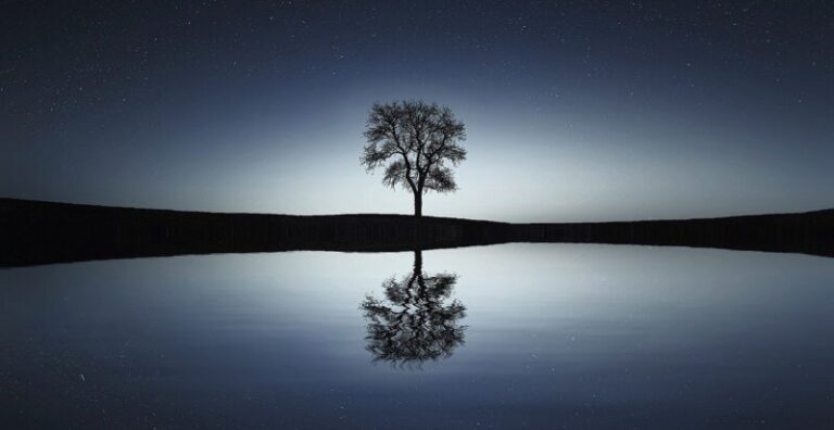 a blink of an eye, Gods Higher Ways, tree, on, lake, at, night